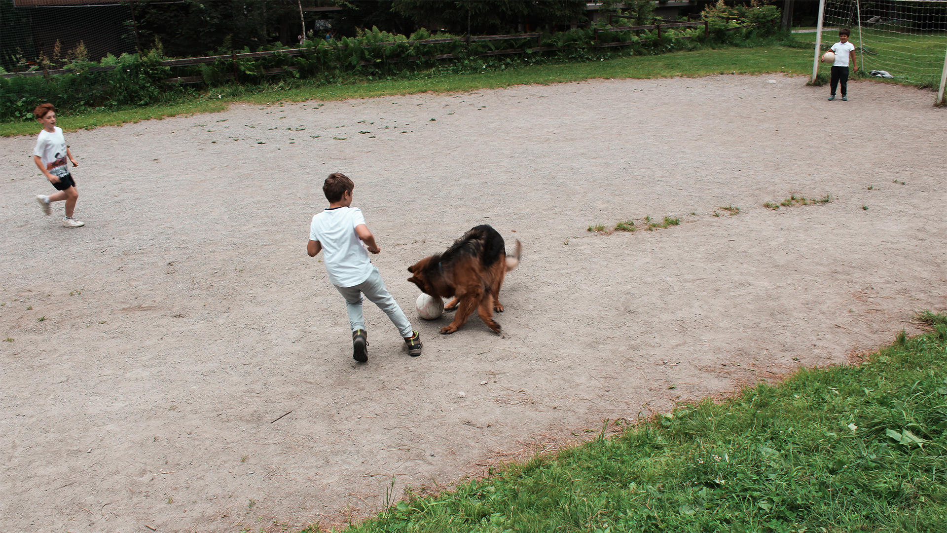 Campi_06