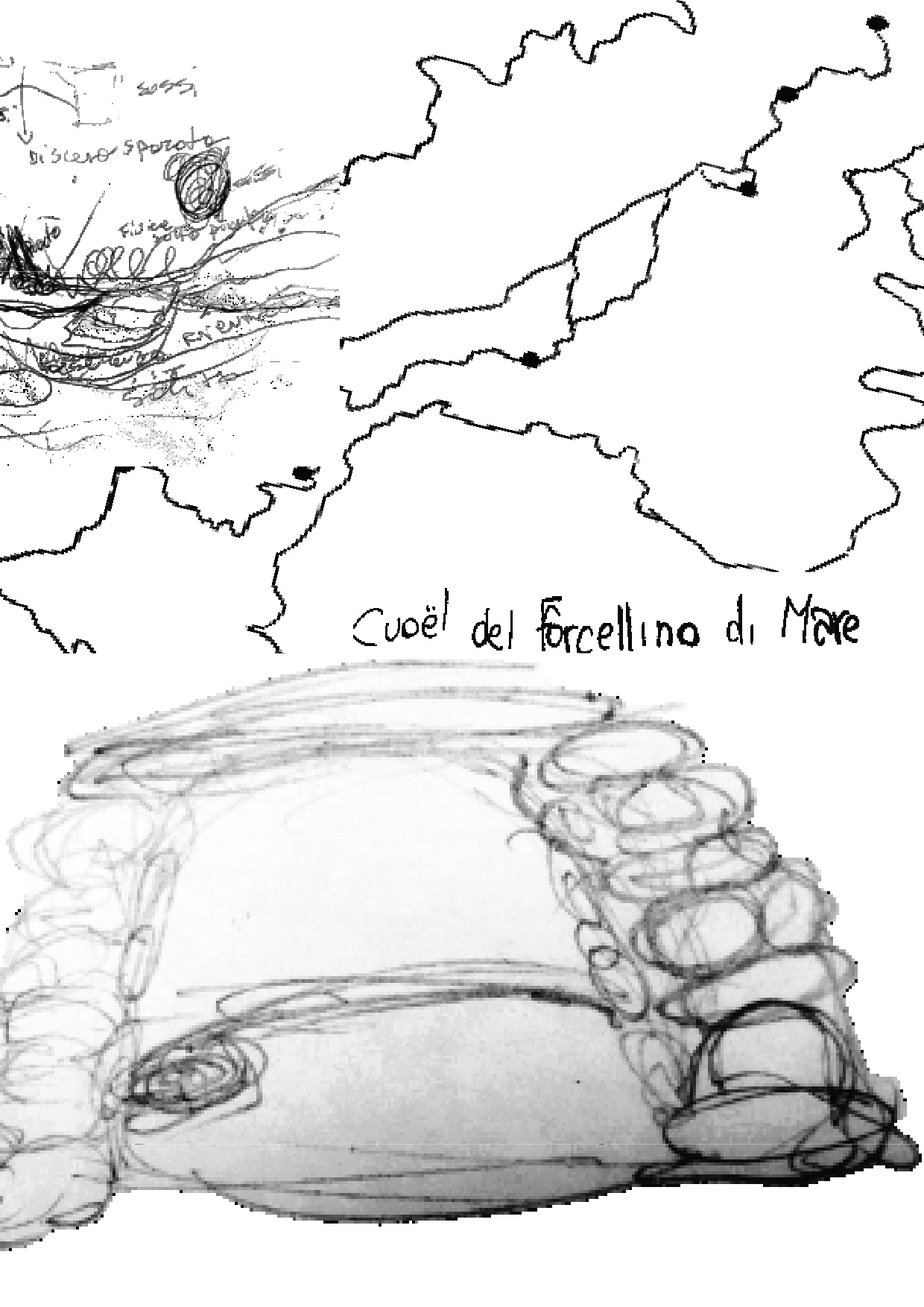 Coul-07