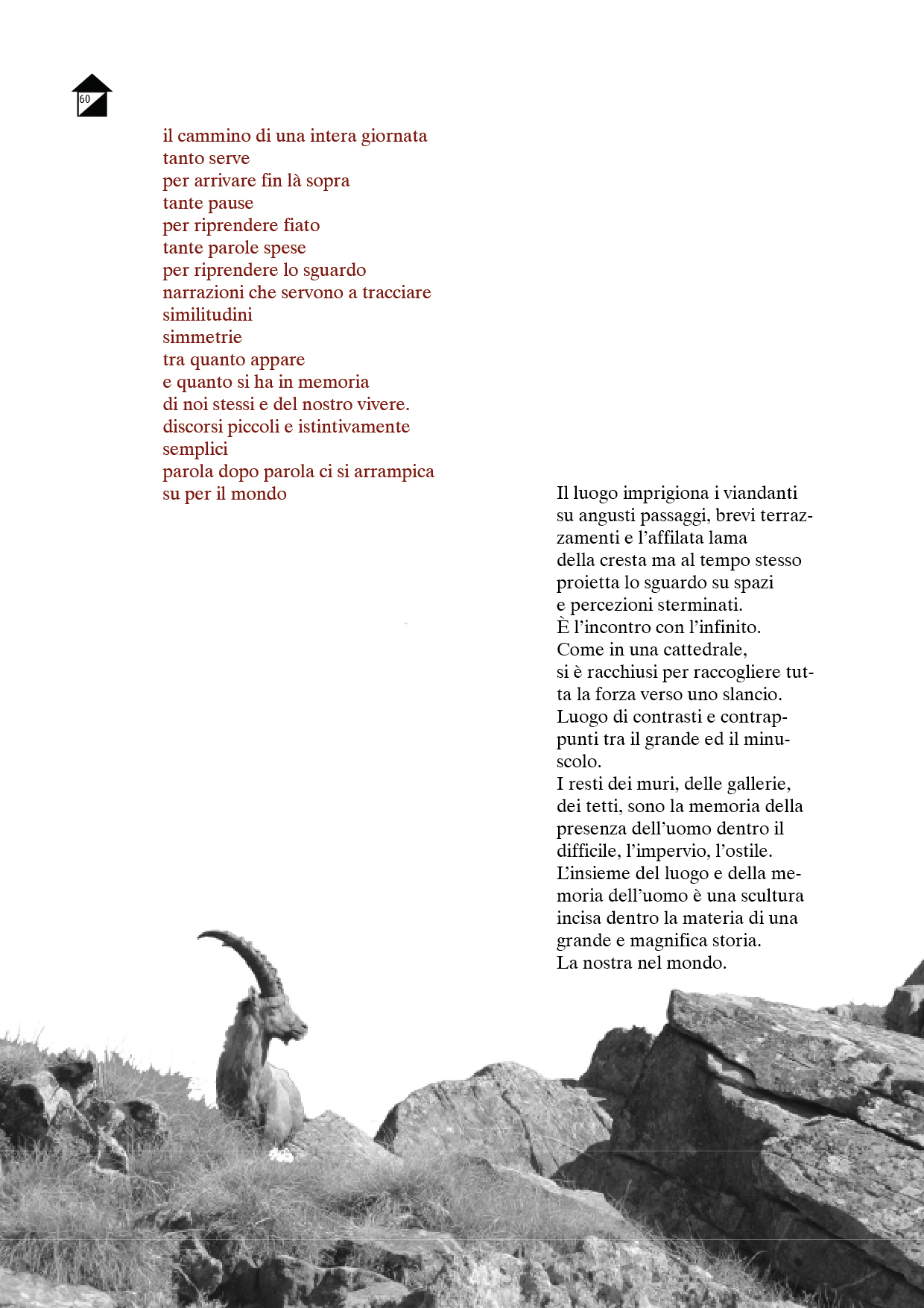 Coul-60