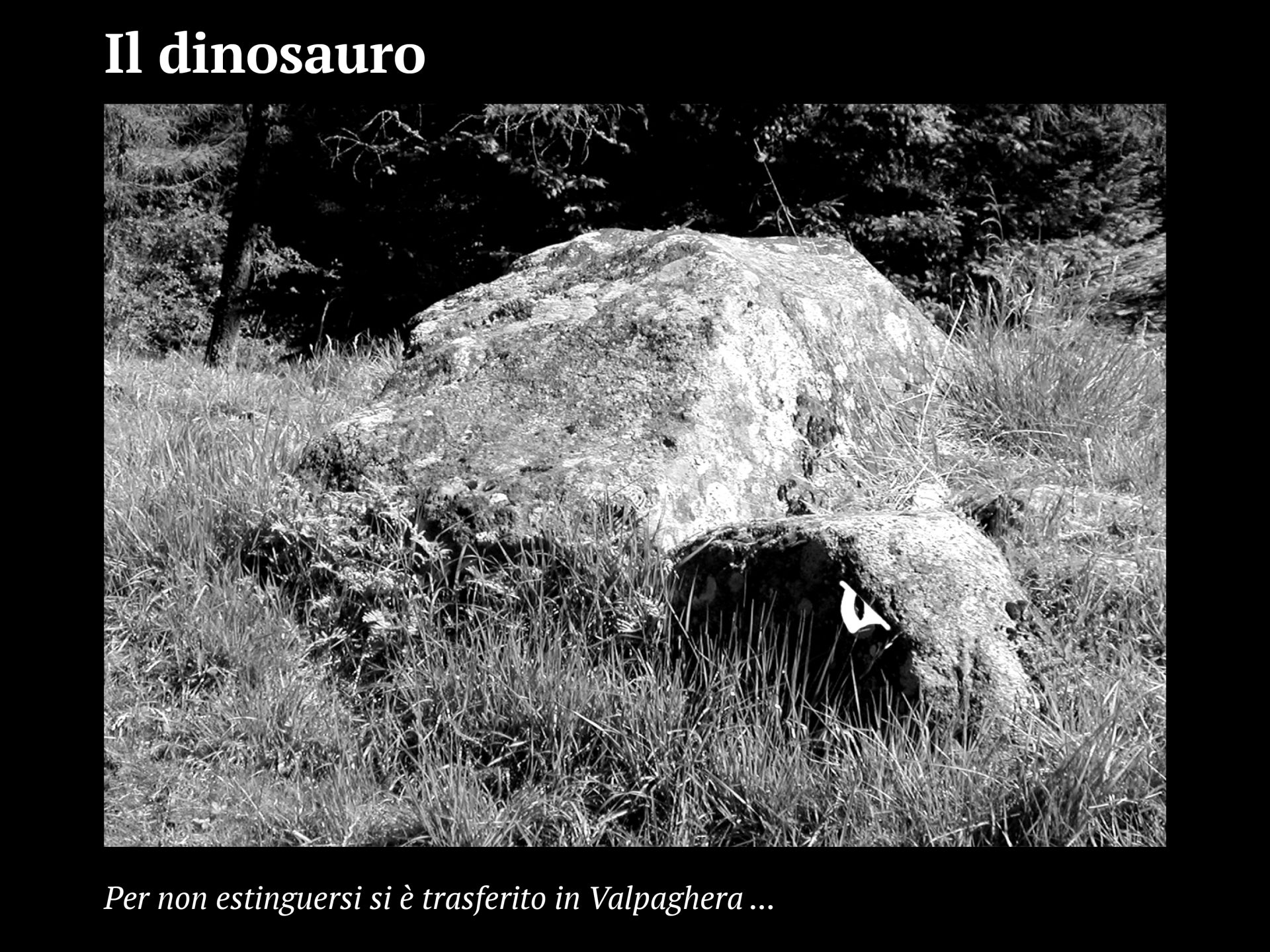 Progetto facce10