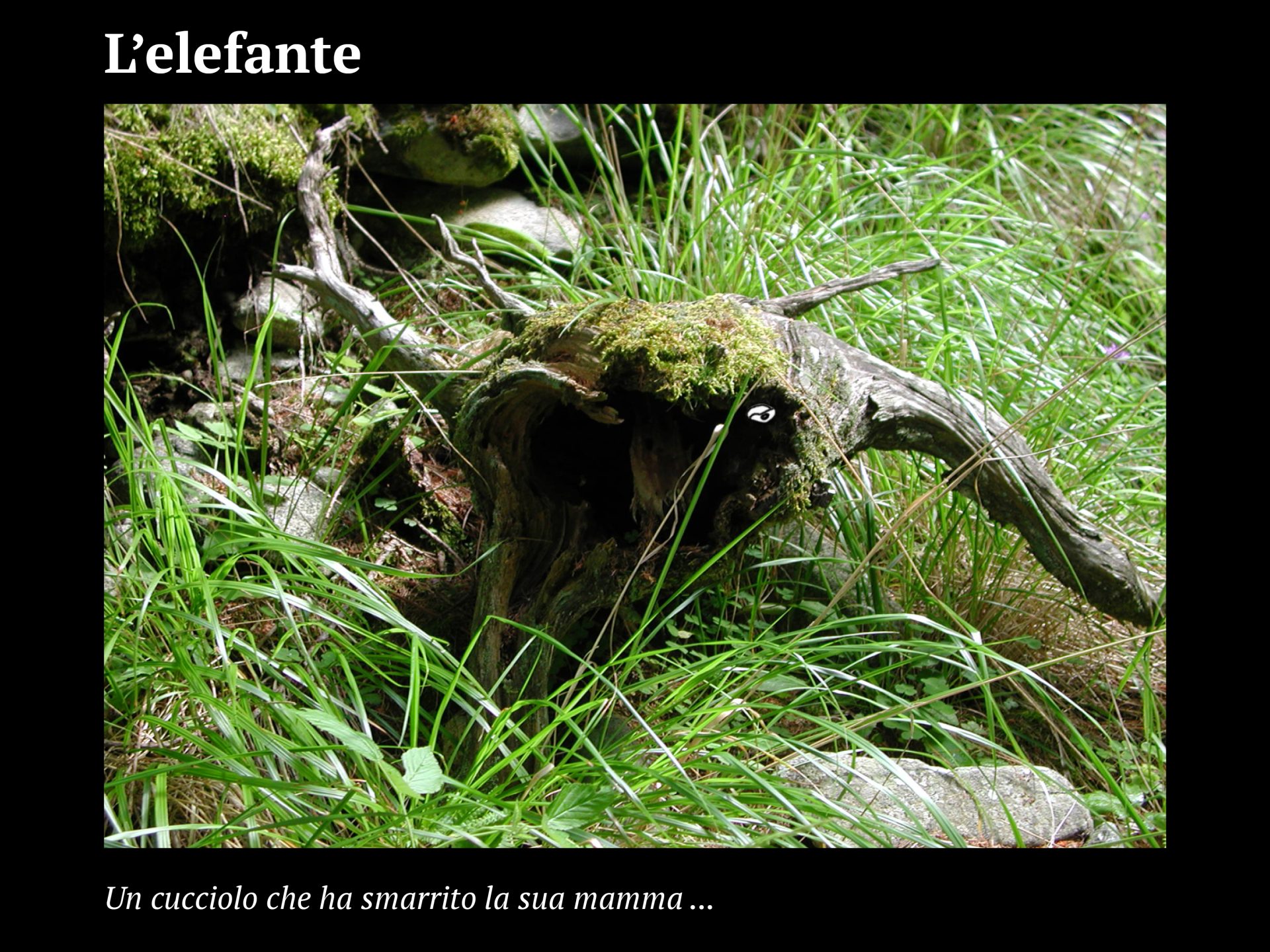 Progetto facce11