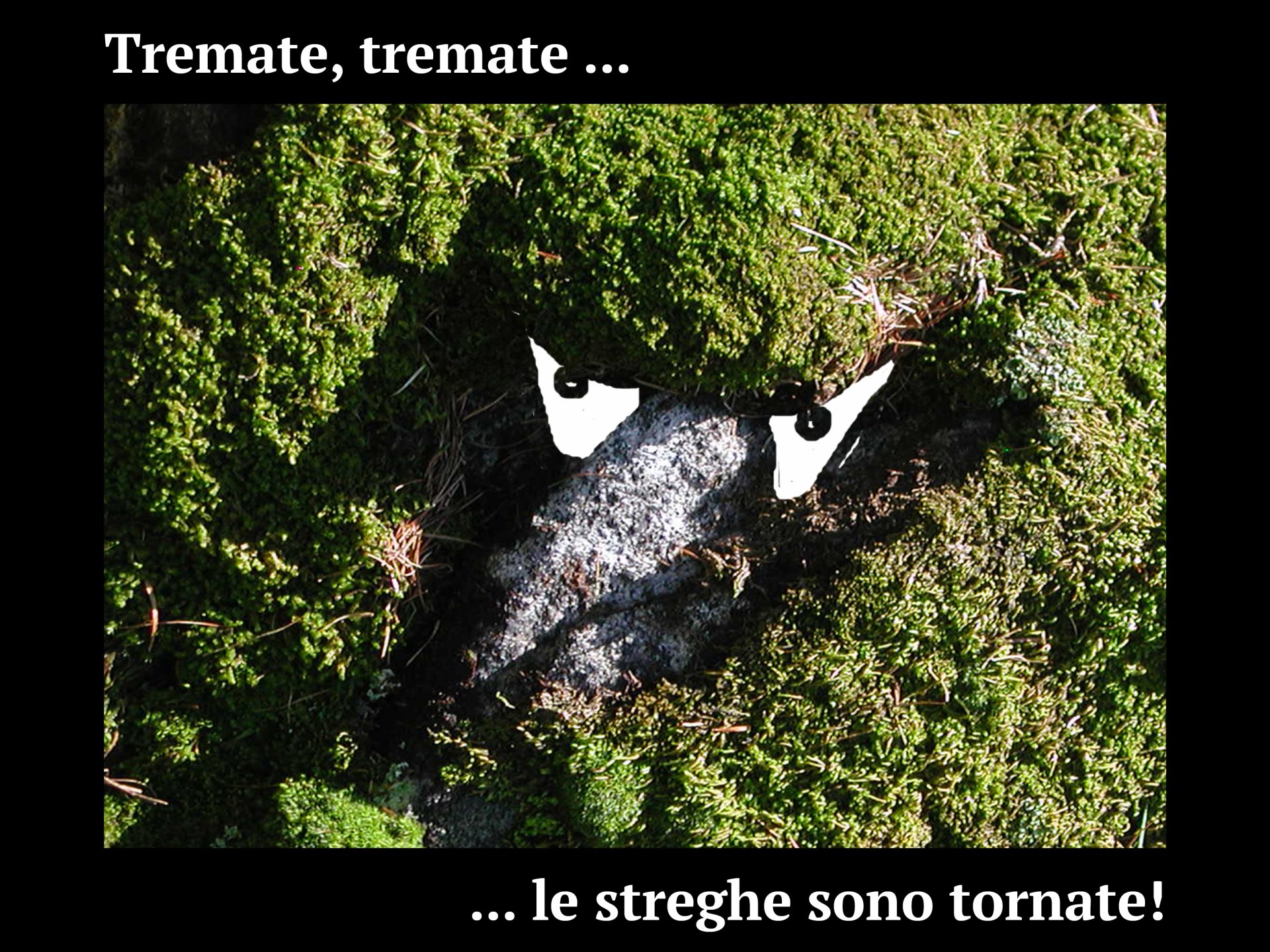 Progetto facce16