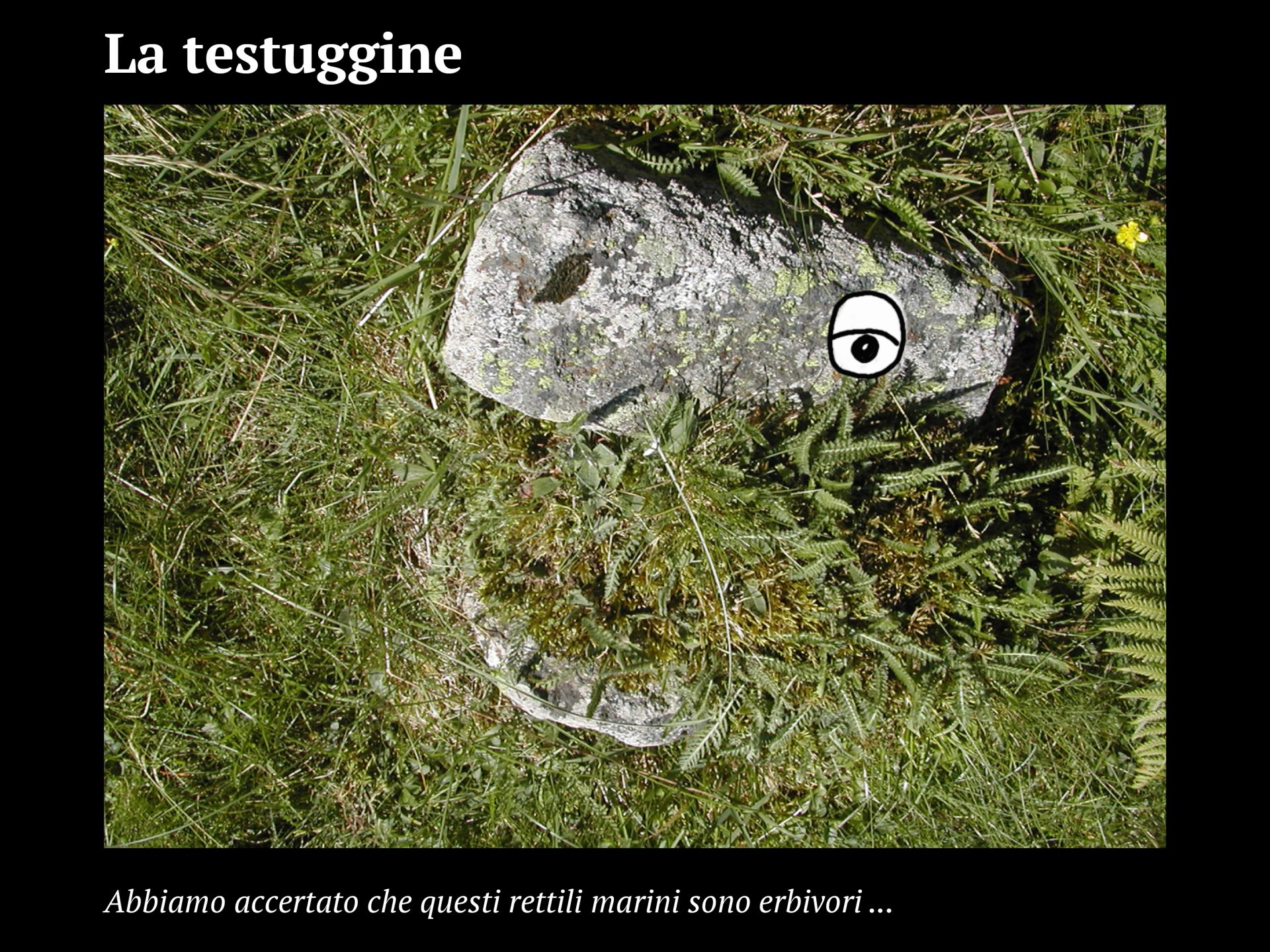 Progetto facce19