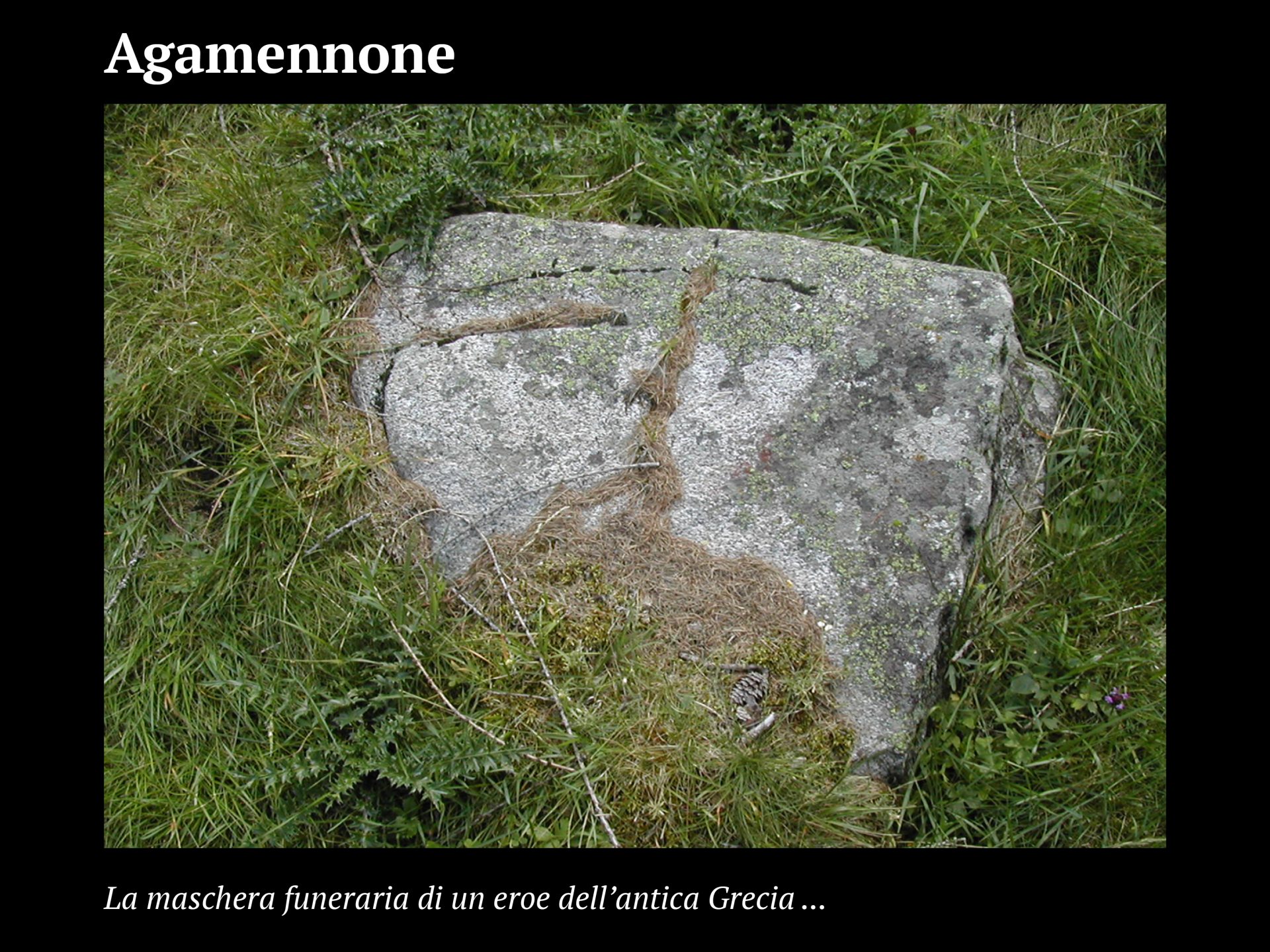 Progetto facce2