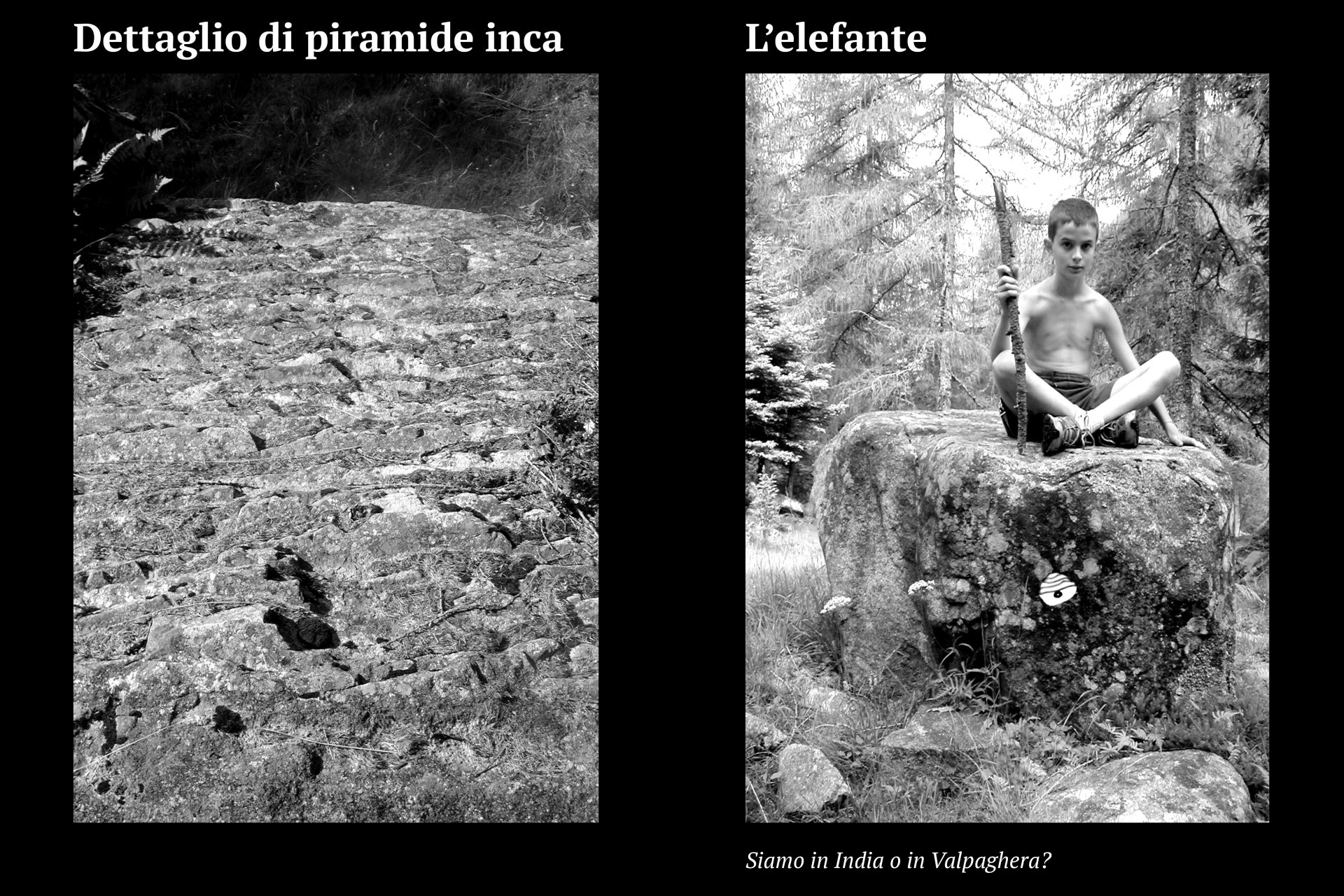 Progetto facce22