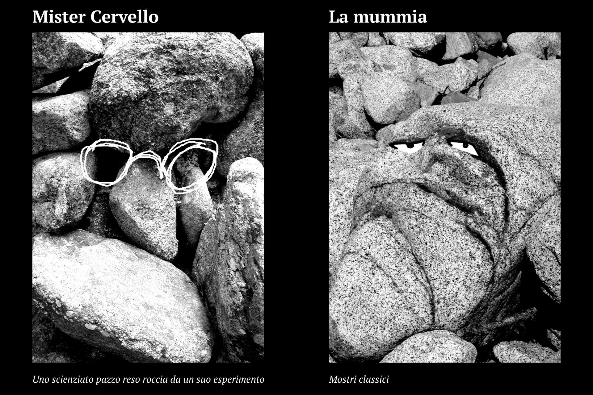 Progetto facce23