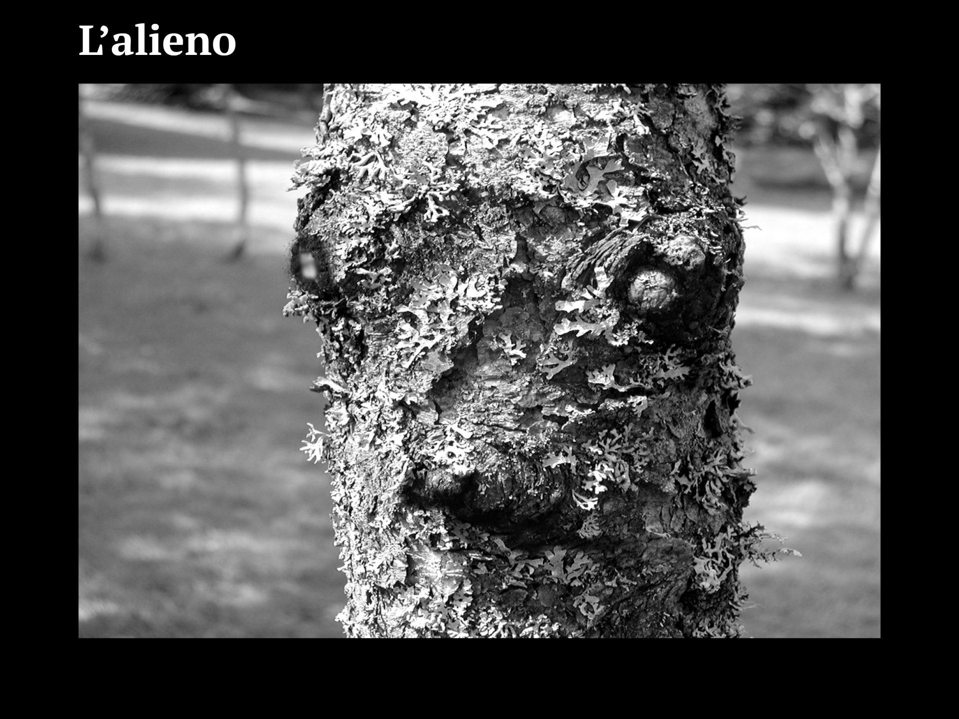 Progetto facce3