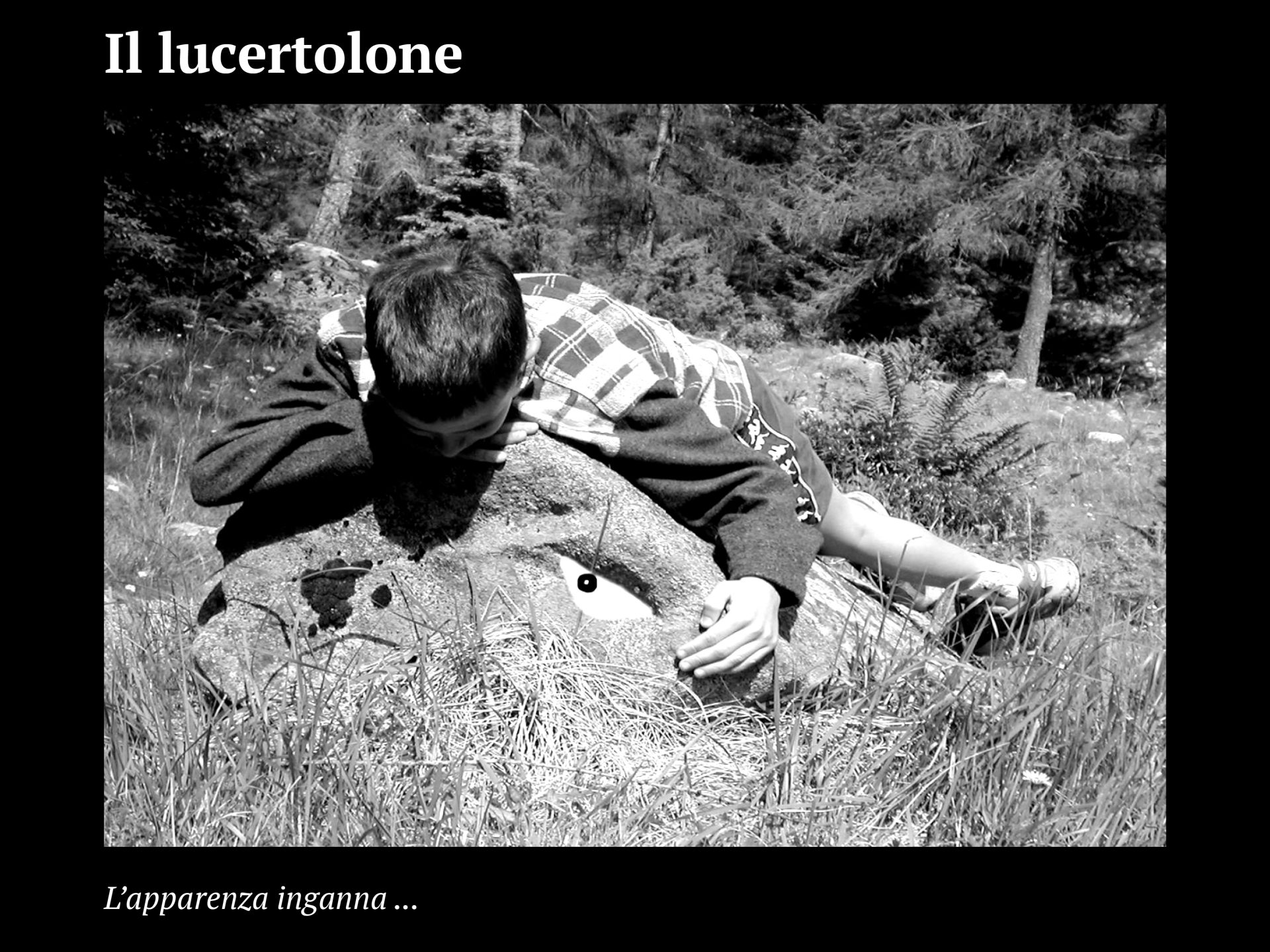 Progetto facce4
