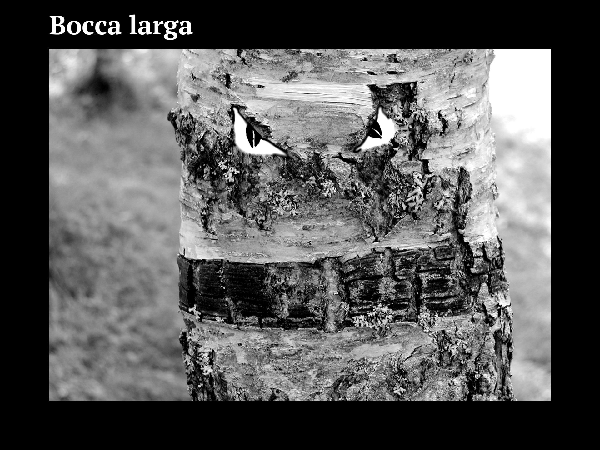 Progetto facce6
