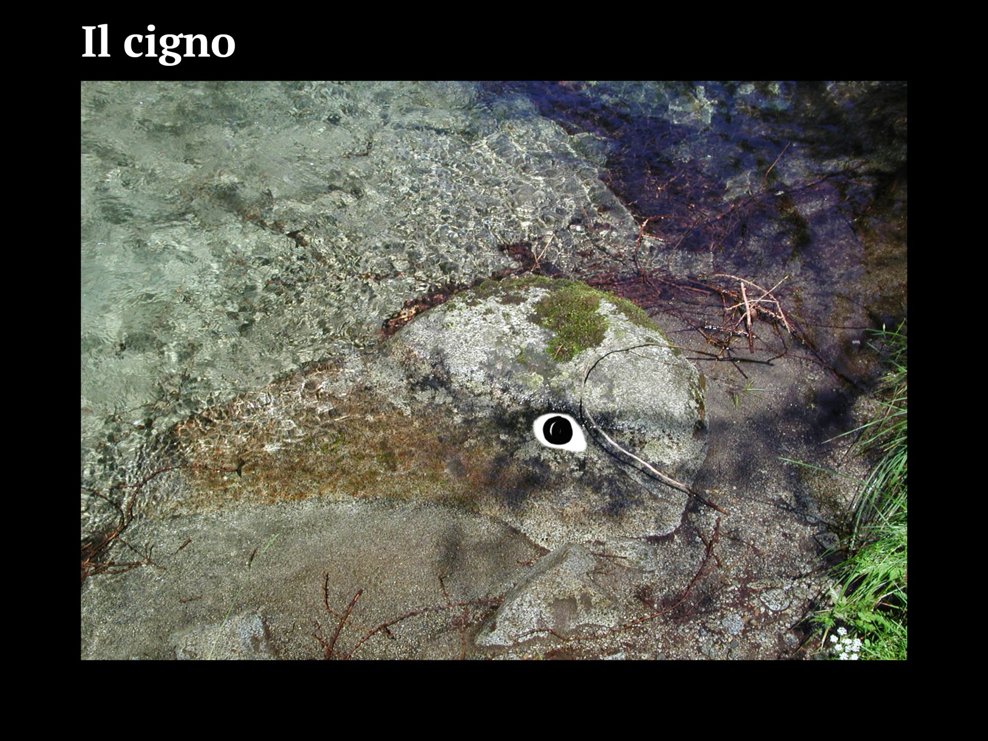 Progetto facce7