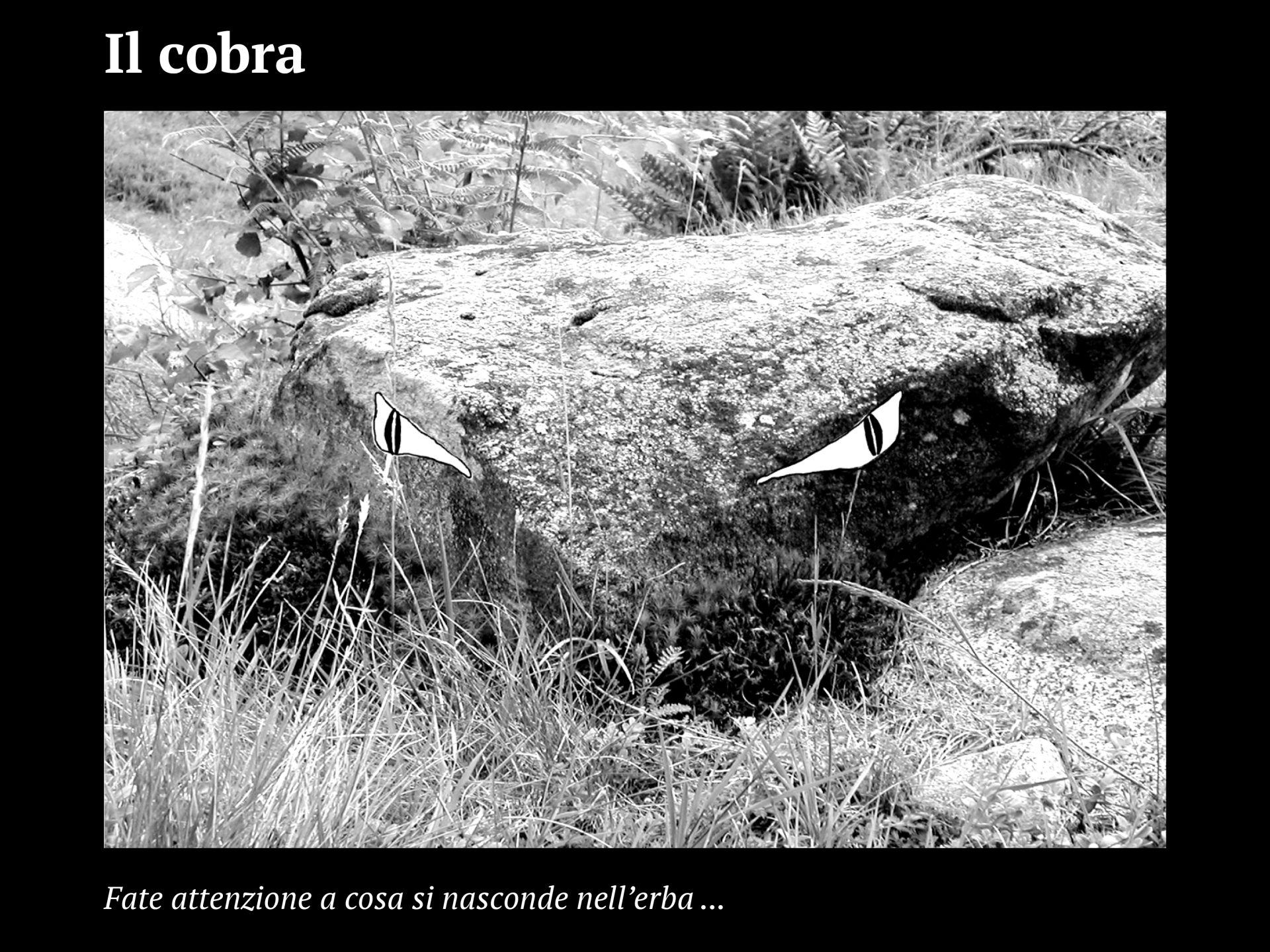Progetto facce8