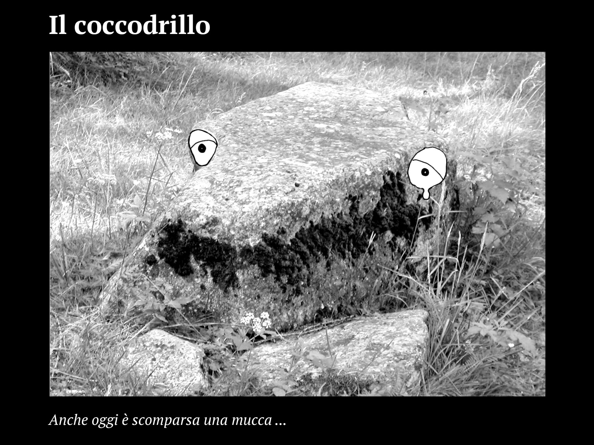 Progetto facce9
