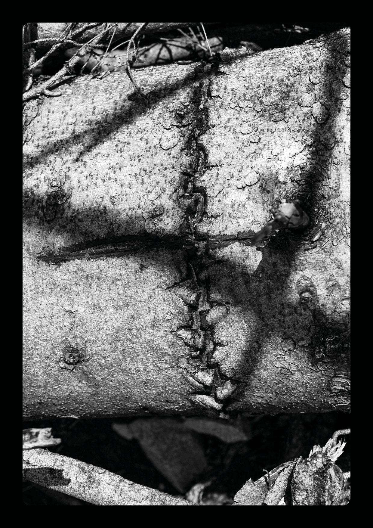STAMPAcorrezione3